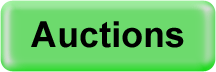View current auctions.